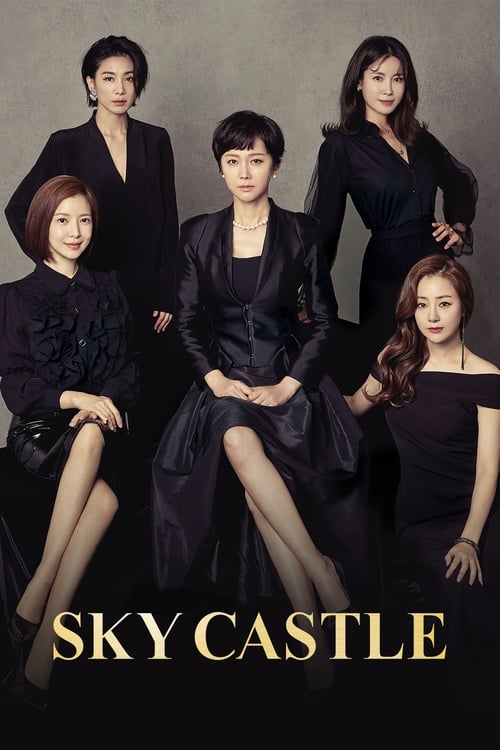 دانلود سریال SKY Castle | قلعه آسمان